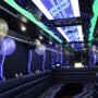 birthday party bus rentals 90x90