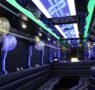birthday party bus rentals 95x90